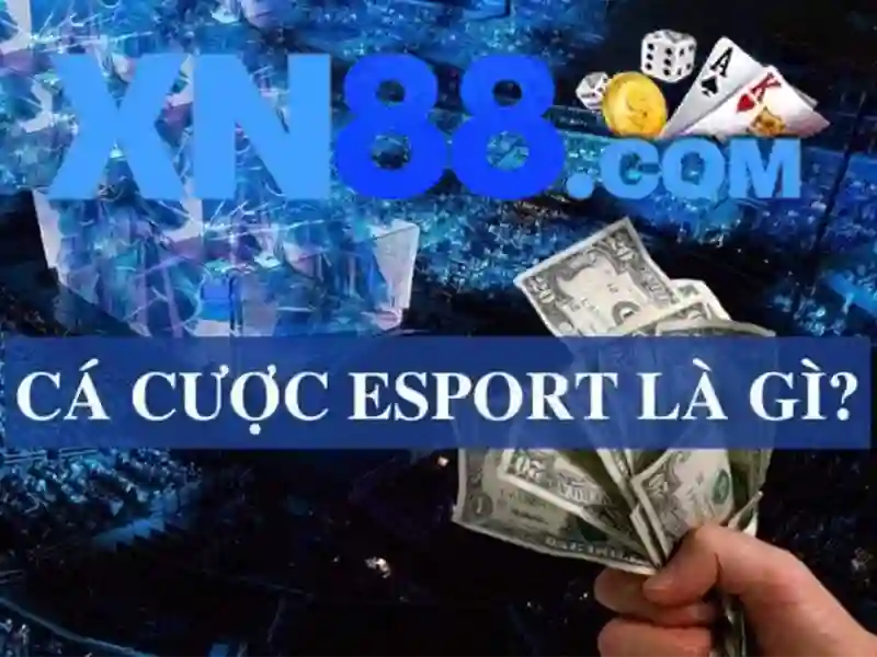 <!--IMG_PLACEHOLDER alt>Trải nghiệm người dùng và cộng đồng-->