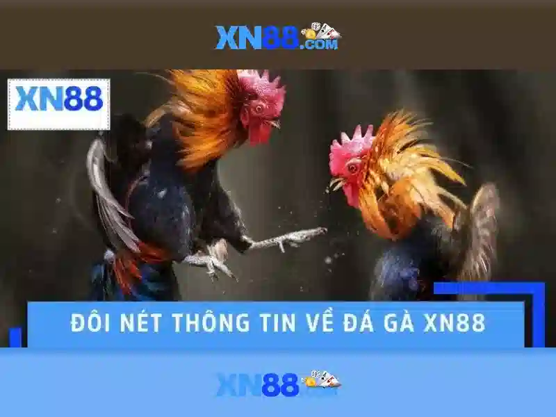 Sản phẩm và dịch vụ liên quan đến nhập code xn88