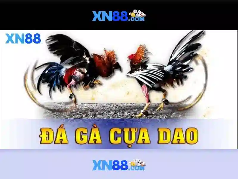 An toan va bao mat khi tham gia xn88