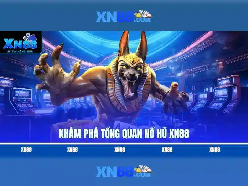 Lĩnh vực hoạt động
