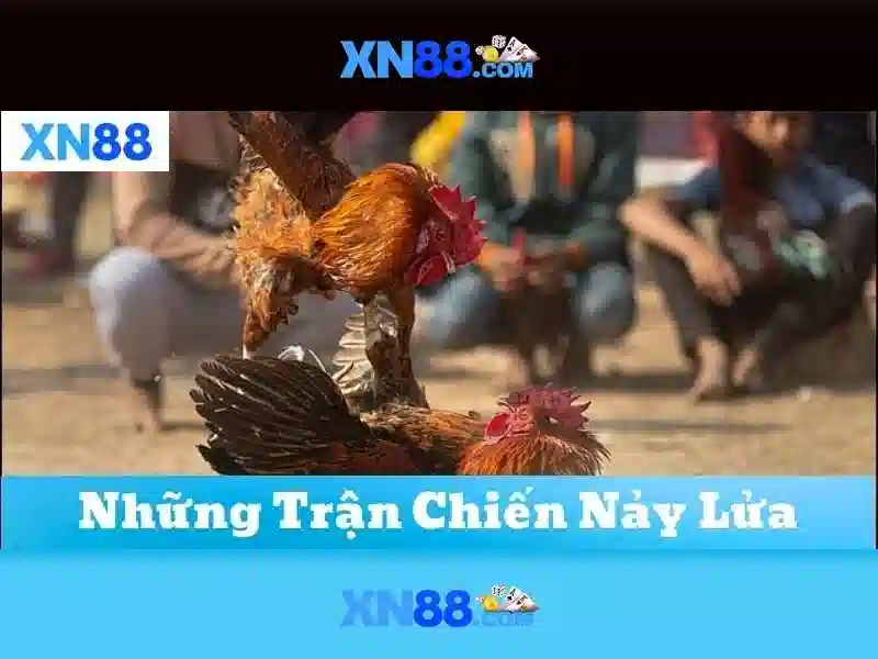 Giới thiệu về xn88