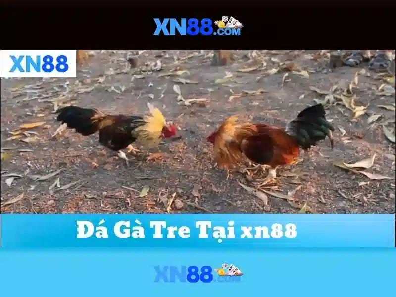 Tiềm năng phát triển và thách thức Tiềm năng phát triển và thách thức