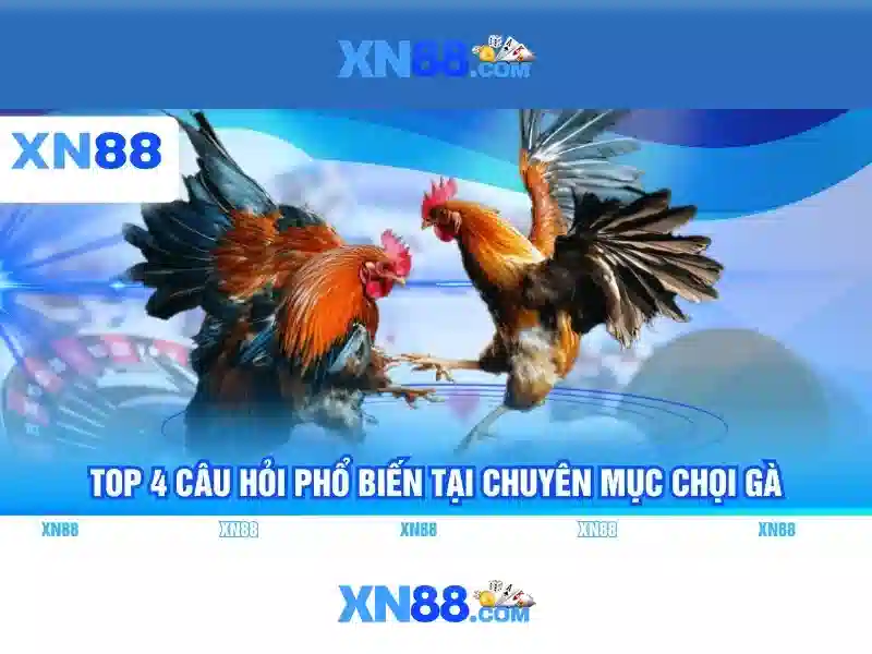 Tổng quan về xn88\n
