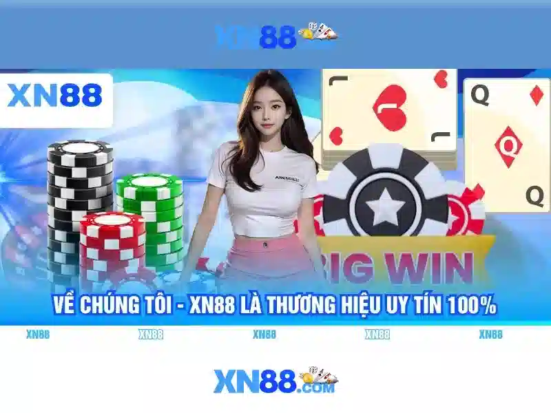 An toàn và trách nhiệm khi chơi