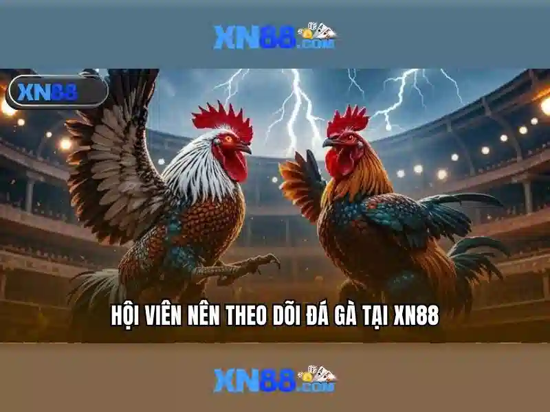 Tải app xn88 – Tổng quan về chủ đề và giá trị cốt lõi Tải app xn88 – Tổng quan về chủ đề và giá trị cốt lõi
