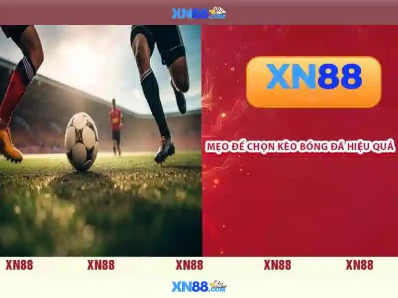Giao diện và trải nghiệm người dùng\n