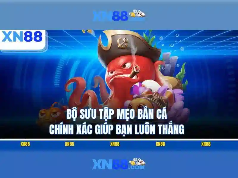 Giới thiệu về xn88