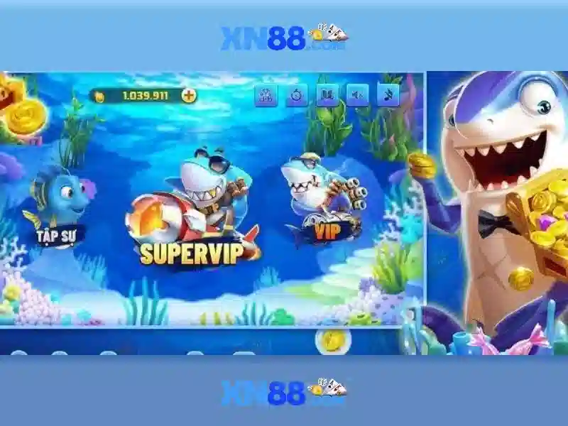 Trải nghiệm người dùng và phản hồi cộng đồng