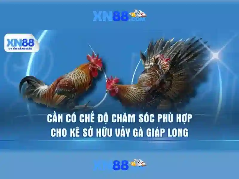 An toàn và thanh toán An toàn và thanh toán