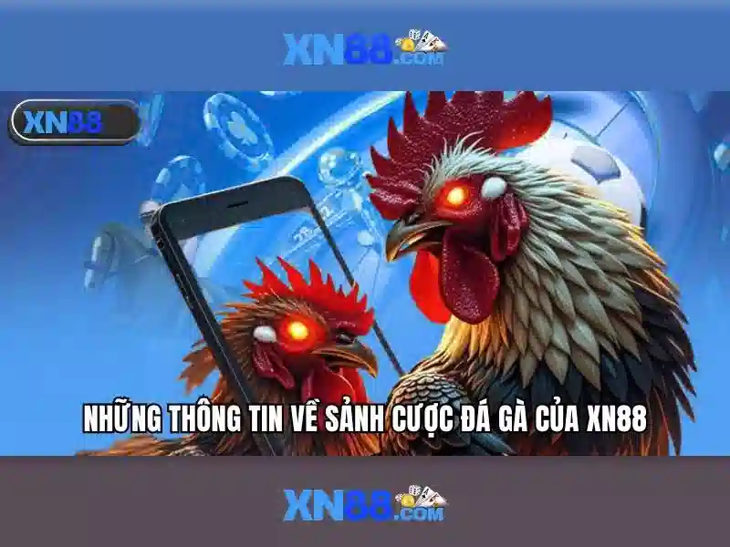 Kết luận về tiềm năng của xn88