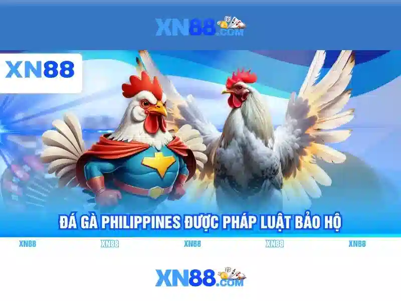 Các chức năng chính\n\n
