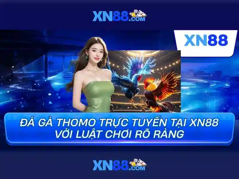Lịch sử và nguồn gốc