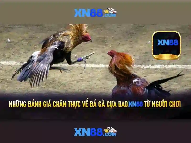 Nguồn gốc và ý nghĩa của tên XN88\n