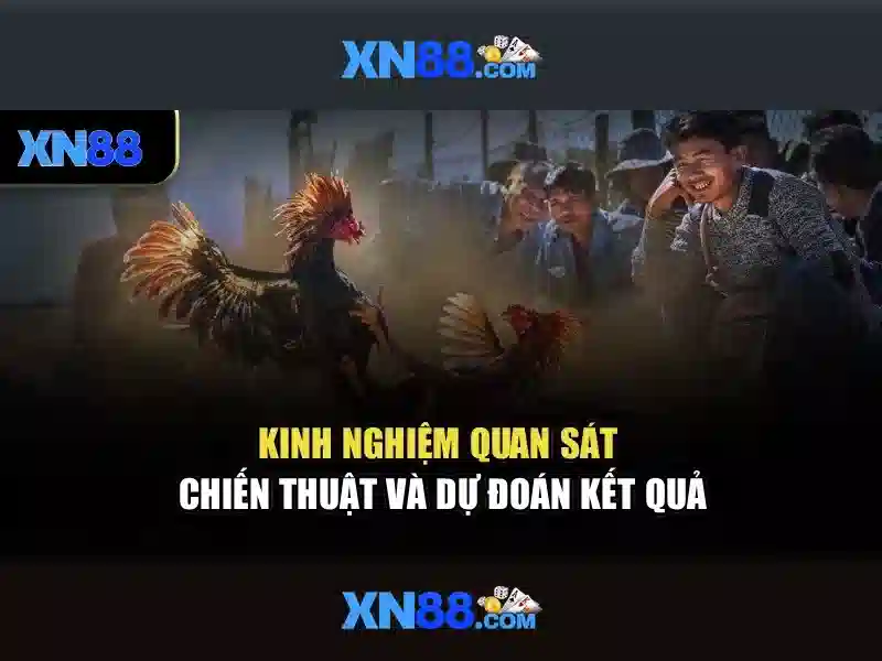 Kết luận và lời khuyên cho người mới bắt đầu