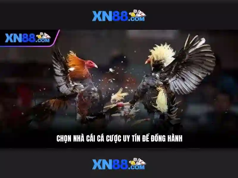 Đăng Nhập