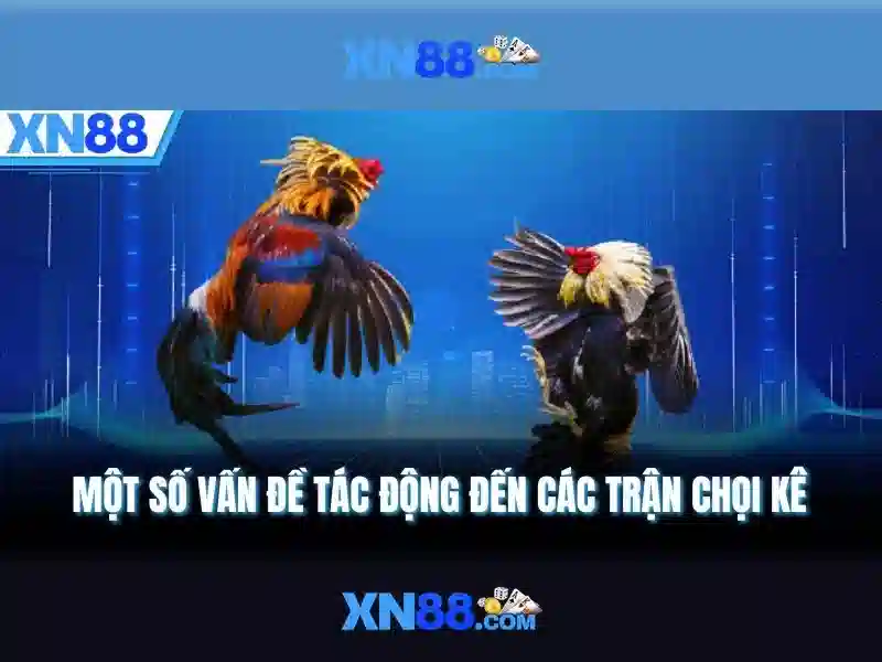 Giới thiệu về xn88