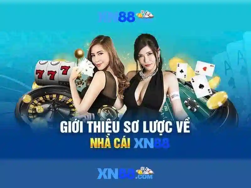 Lý do xn88 nổi bật