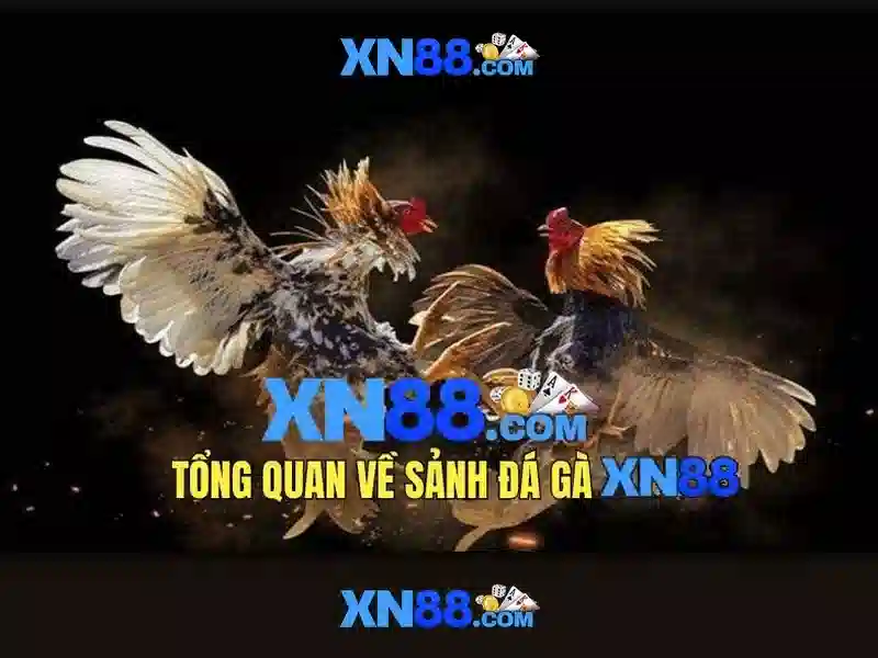 Cổng cá cược trực tuyến phổ biến\n\n