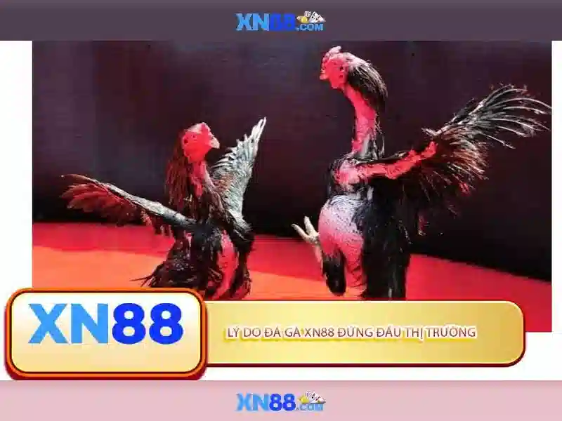 Những điểm nổi bật của xn88