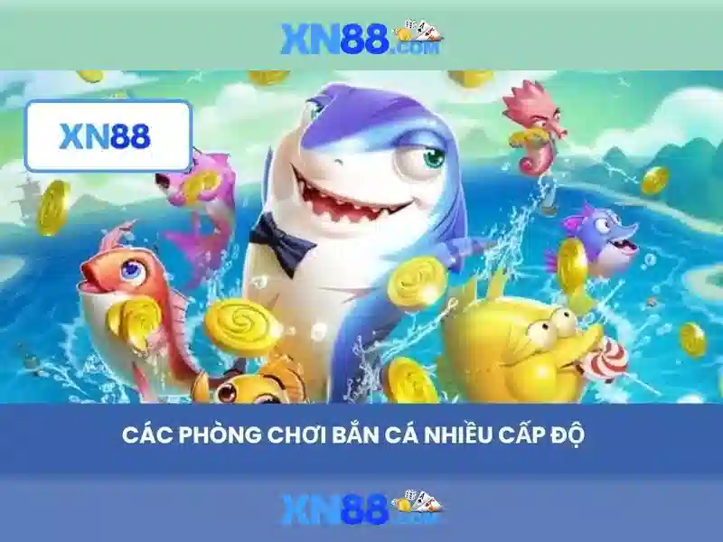Tính năng và trải nghiệm người dùng\n