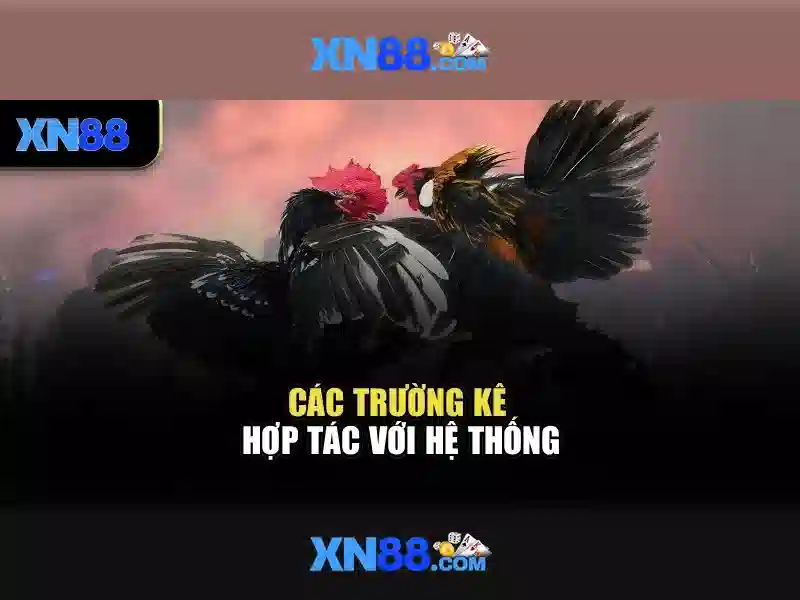 Tổng quan về xn88 trong thế giới số Go88