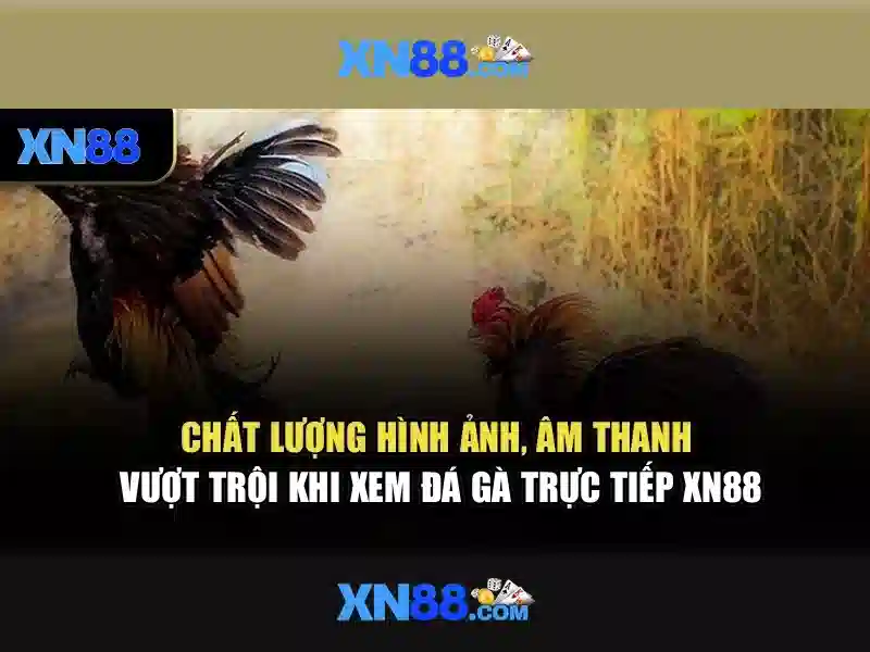 xn88 nổ hủ – chủ đề và giá trị cốt lõi