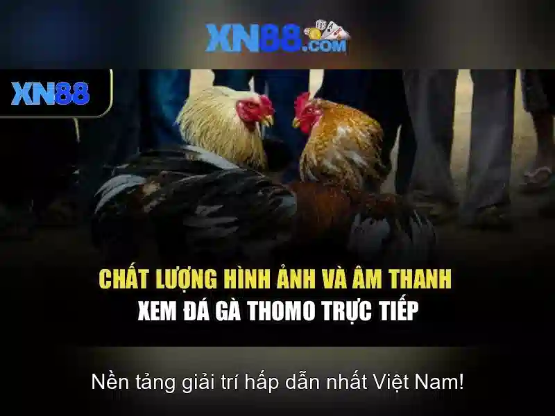 Đăng Nhập
