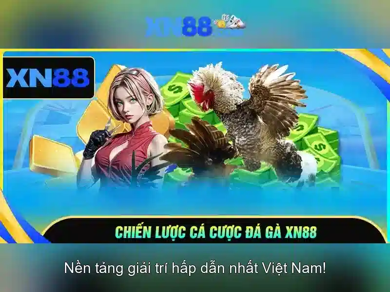 Nội dung giải trí và cược thể thao