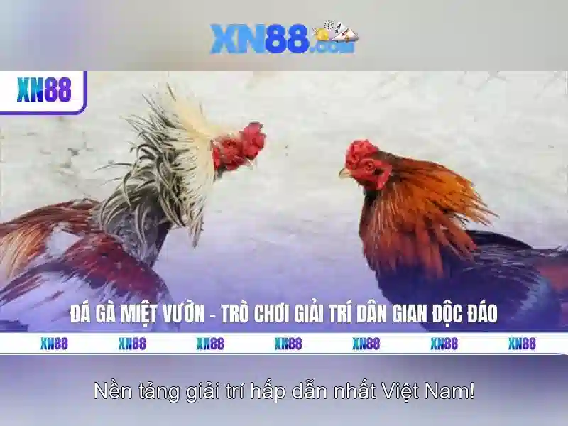 Soi kèo hiệp 1