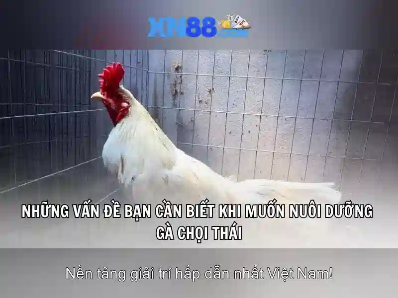 Đăng Nhập