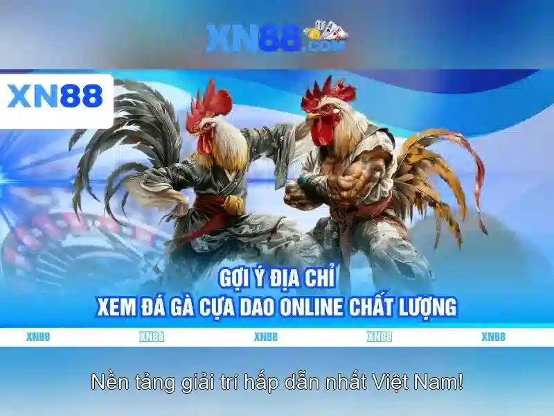 An toàn, riêng tư và trách nhiệm khi chơi