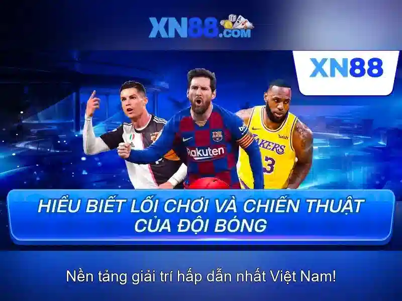 Trải nghiệm người dùng và phản hồi cộng đồng