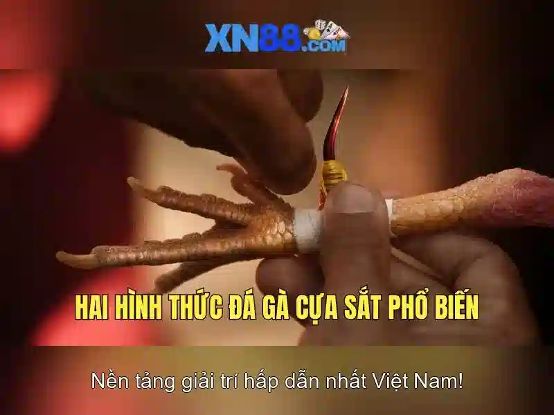 Các sản phẩm và dịch vụ