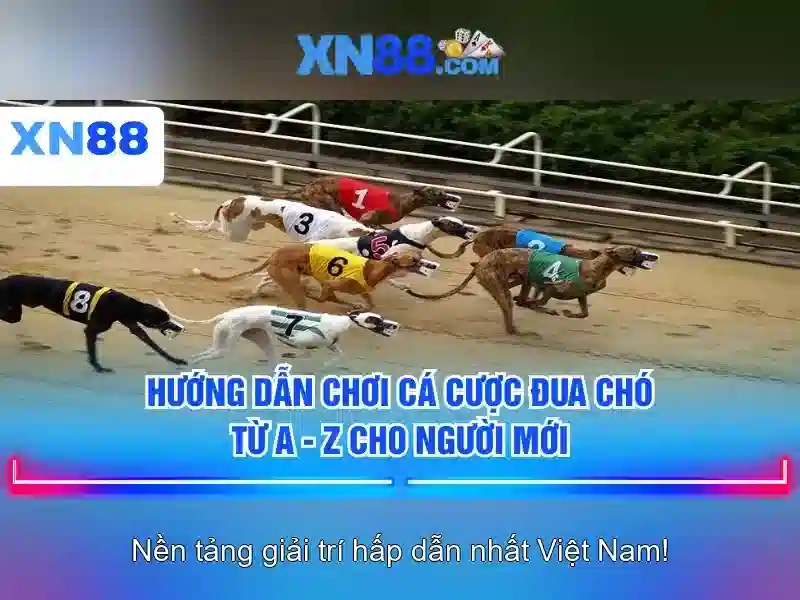 Hướng dẫn đăng ký và chơi có trách nhiệm
