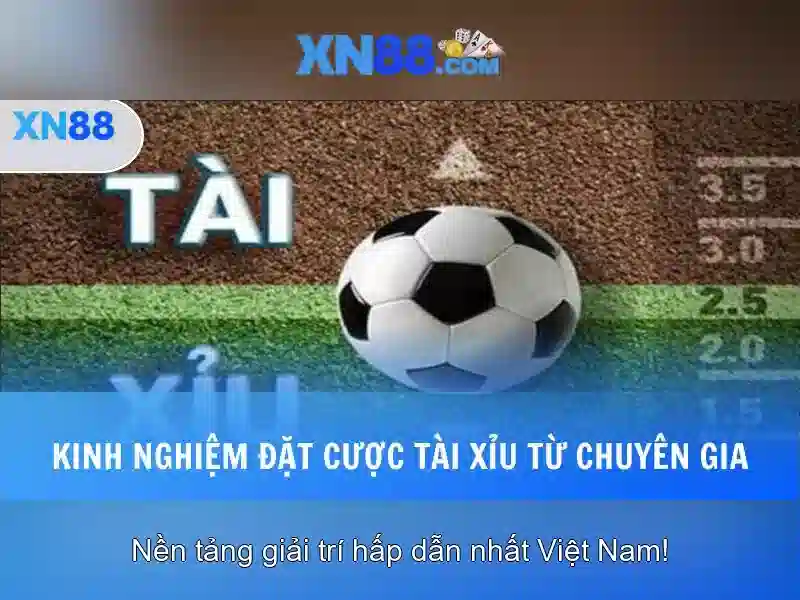 Khái niệm cơ bản về xn88\n\n