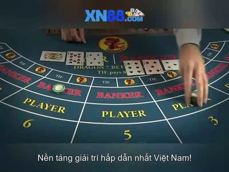 An toàn và trách nhiệm khi tham gia