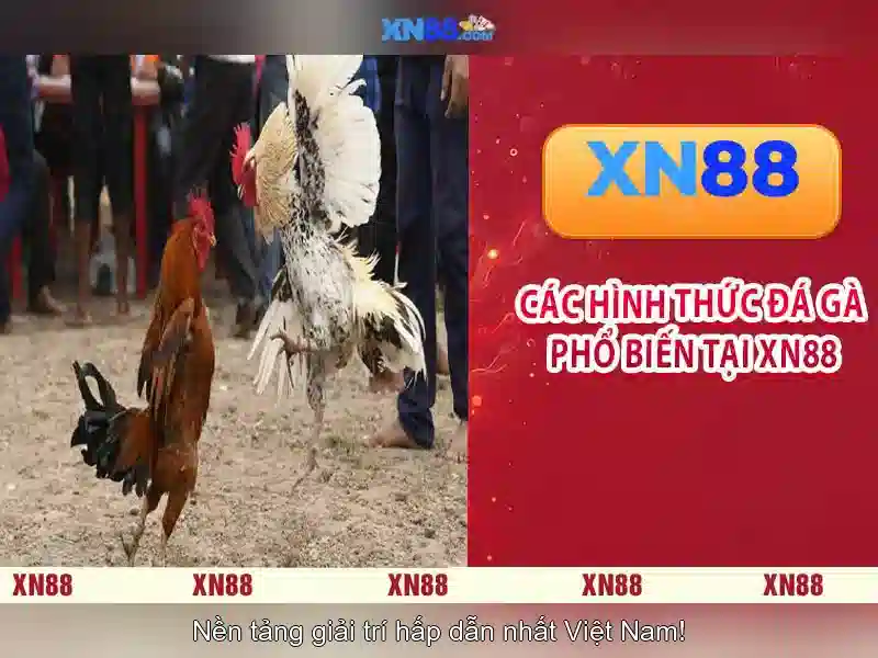Làm sao để tham gia xn88 Làm sao để tham gia xn88
