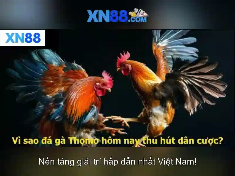 Go88