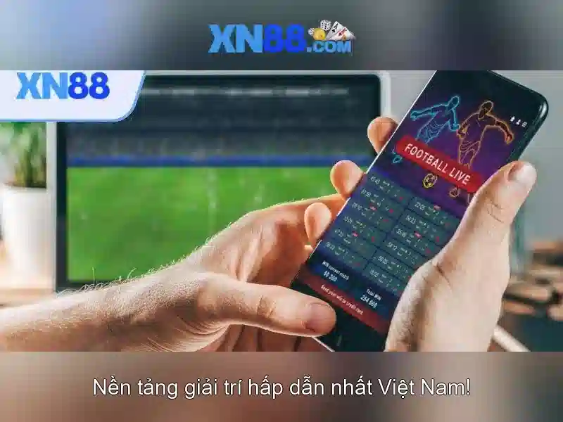 Hướng dẫn tham gia và lưu ý pháp lý