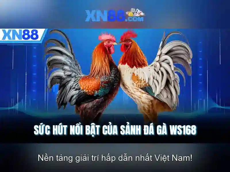 Tính năng nổi bật