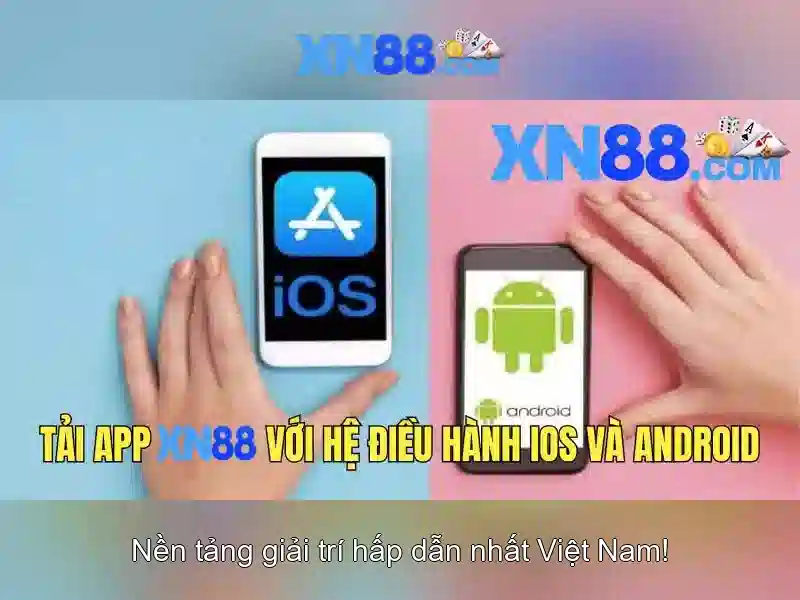 Giao diện người dùng và trải nghiệm