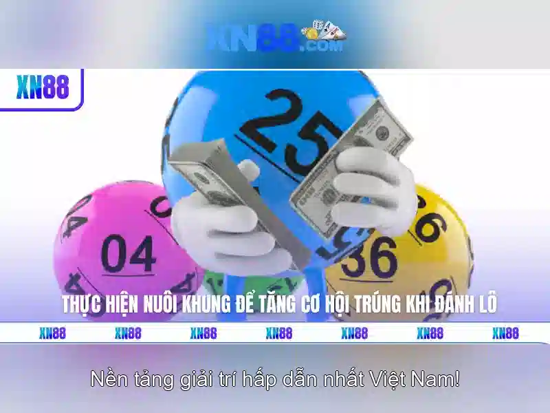 Giới thiệu về XN88\n