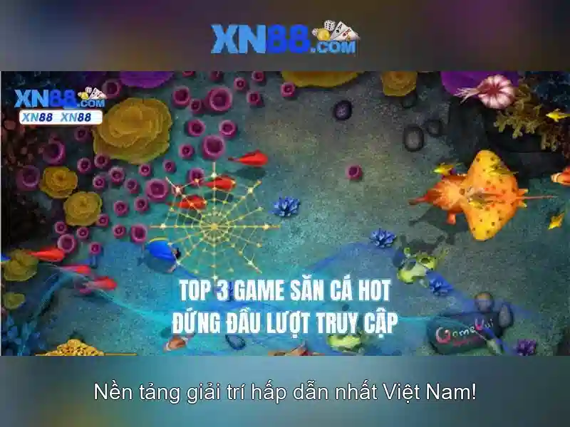 Các trò chơi và trải nghiệm
