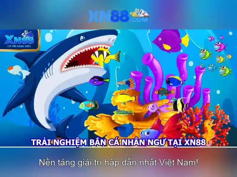 Nền tảng và trò chơi phổ biến