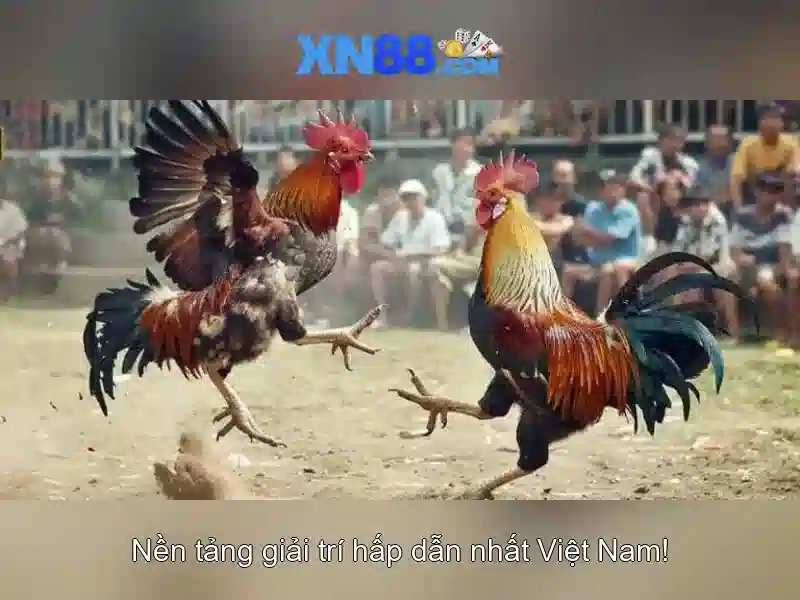 Cac tinh nang chinh