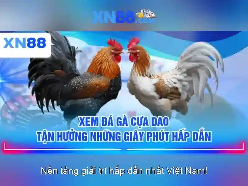 Đăng Nhập