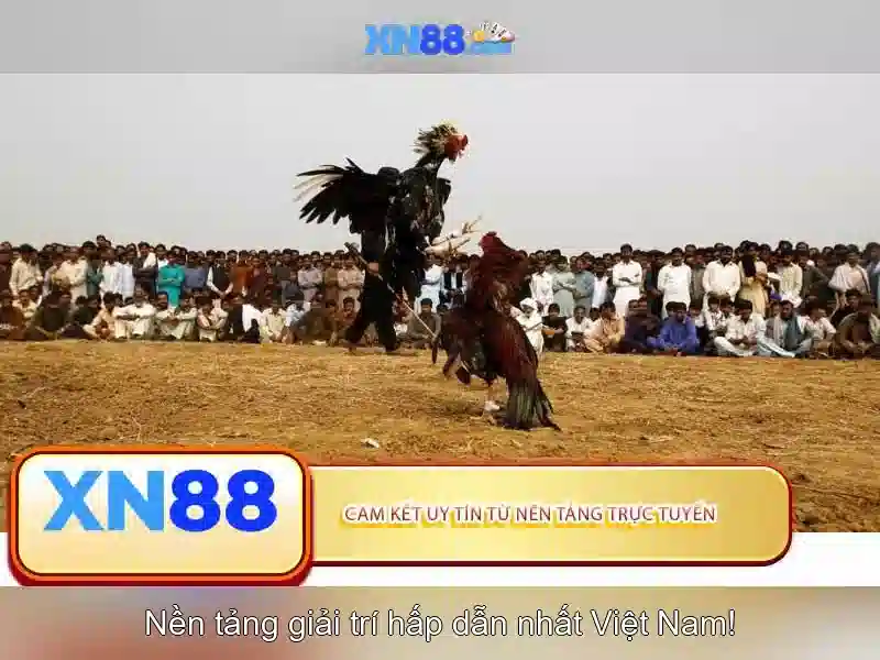 An toàn và lưu ý khi tham gia An toàn và lưu ý khi tham gia