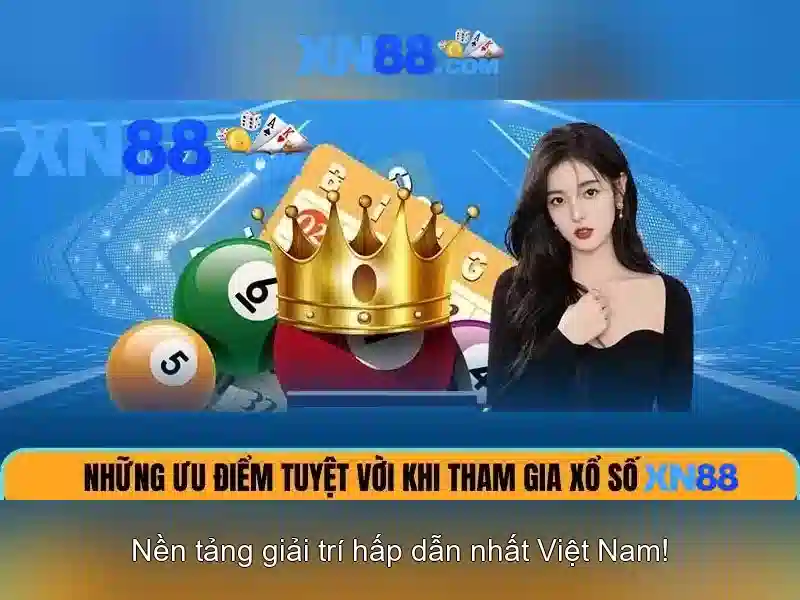 Nền tảng và cấp phép