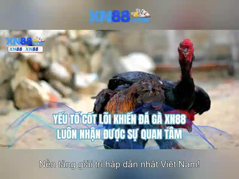 An toàn và bảo mật\n\n