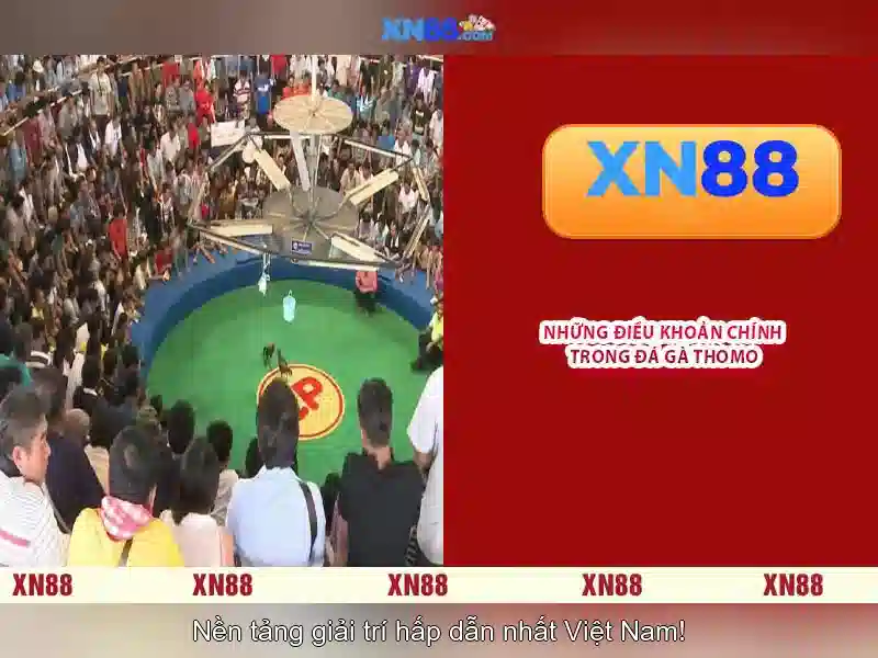 An toàn và bảo mật khi chơi trên xn88\n An toàn và bảo mật khi chơi trên xn88\n